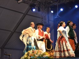 Festival de Folkore en Mula